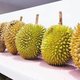 Illustration for article titled Durian Medan